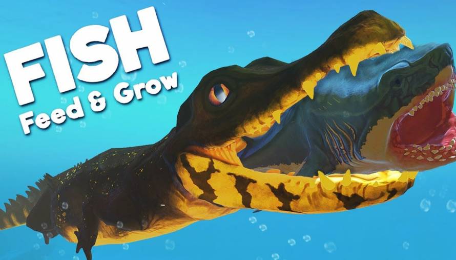 Latest Feed and Grow: Fish Game Update